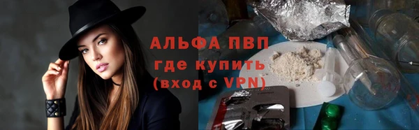apvp Кукмор