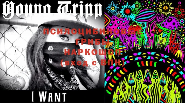 apvp Кукмор