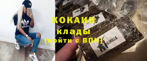 дживик Бронницы