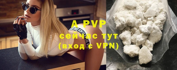 apvp Кукмор