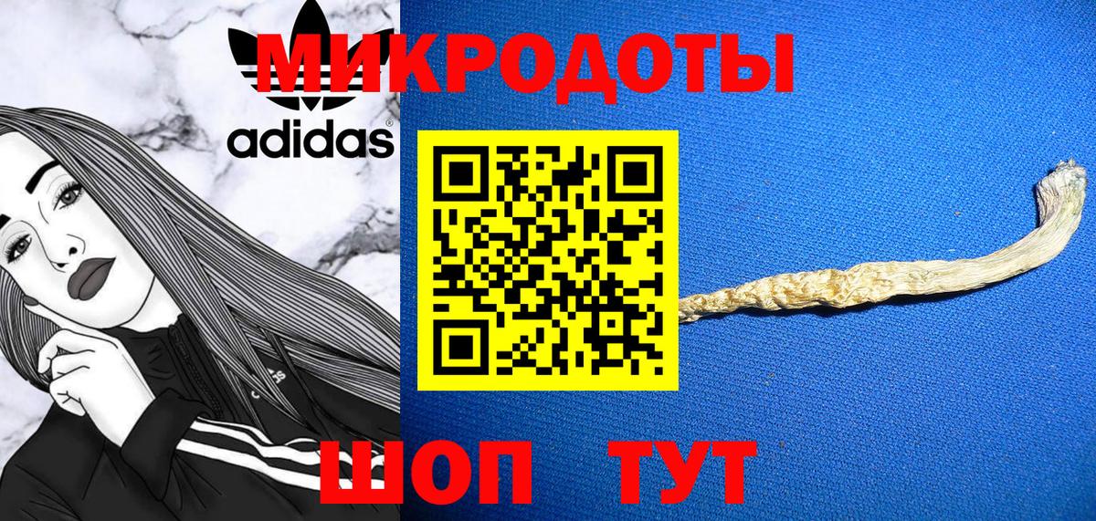Малоярославец  Галлюциногенные грибы Psilocybe  Вход с VPN  Псилоцибиновые грибы прущие грибы 