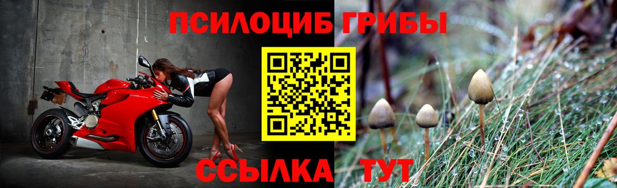 Галлюциногенные грибы GOLDEN TEACHER Малоярославец