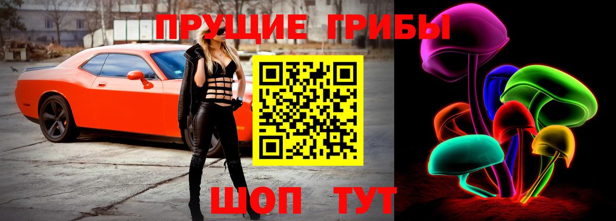 Галлюциногенные грибы MAGIC MUSHROOMS  Галлюциногенные грибы прущие грибы  Малоярославец 